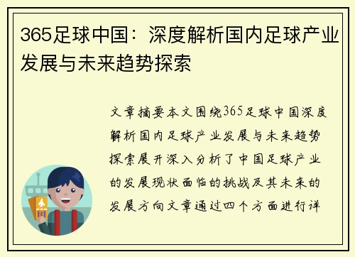 365足球中国：深度解析国内足球产业发展与未来趋势探索